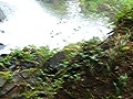 Previous